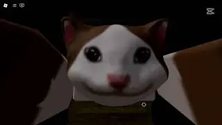 O Propósito da Vida em ROBLOX