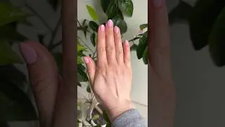 Spring Nails 🌷🌿 🌸 #professionalnails #gelnails #selfmade #ногтидизайн #весеннийманикюр #manicure