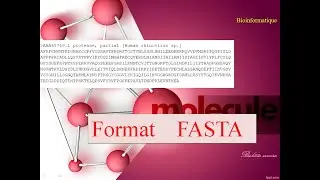 Format  FASTA