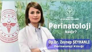 Perinatoloji ne demek? Op.Dr. Zeynep Şeyhanlı