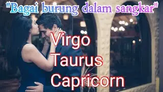 Bagai burung dalam sangkar - Virgo, Taurus & Capricorn | Bacaan tarot | 11 - 17 Mei 2020