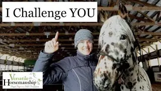 Challenge For ALL Equestrians // Versatile Horsemanship