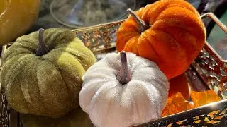Vlog: 🍁🍂Autumn Days (Studying, Work, Baking) #studentlife #vlog #weeklyvlog #baking #cozy
