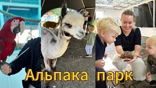 Альпака 🦙 парк. Парк 🐌 Улитки. Радашковичи. Беларусь