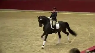 Quadroneur Hengstpräsentation 2016