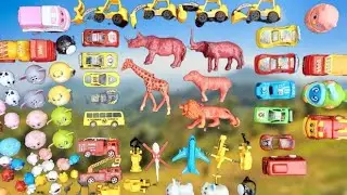 Membersihkan hewan sapi, biribiri, keleday, jebbra, gajah, anjing, kerbau, kambing,singa,penuhlumpur