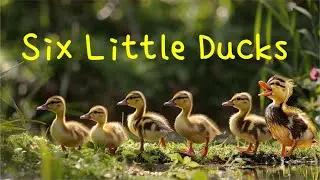 🐥SIX LITTLE DUCKS🐥counting song, ducklings, Spring, Early Years, actions, lyrics on screen