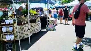 Exploring Carseldine Markets | Hidden Gem in QLD