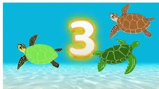 In the sea sleepy counting