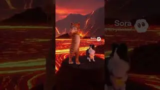 funny cat and dog singing adventures in space