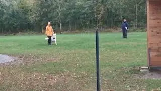 Vom Schweriner Schloßgarten
