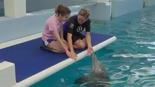 Meghan Meets Winter and Hope at Clearwater Marine Aquarium - Inspirational Stories