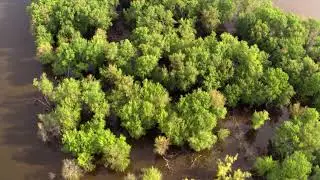 Pikes Peak State Park | Iowa By Air