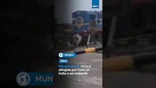 Milagre ou IA? Vaca é atingida por trem na Índia e sai andando