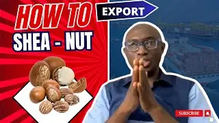 How To Export Sheanuts From Nigeria