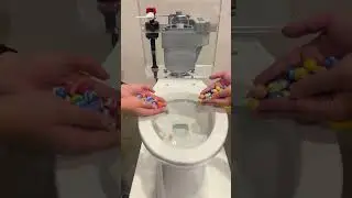 Will It Flush?