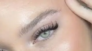 thick long curled dark eyelashes 2.0