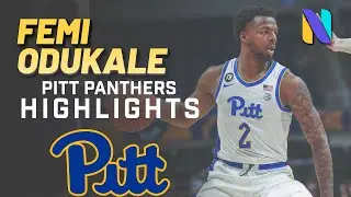 Femi Odukale Pitt Panthers 2021-2022 Highlights | All-ACC Academic Team