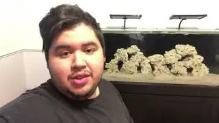 Innovative marine unboxing 25 gallon fusion tank!