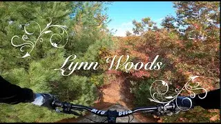 Lynn Woods - Random Shots and Highlights