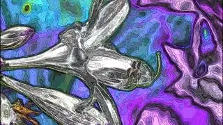 Photographic Art & Prog Rock Music, feat. 