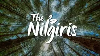 The Nilgiris