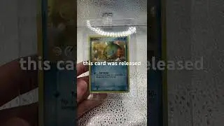 Selling My Childhood Pokemon Card Collection Part 11