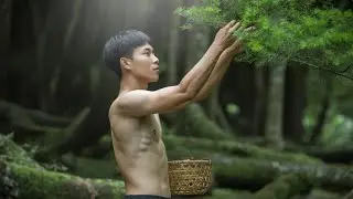 How to Make Natural Fragrance from Pine and Cypress