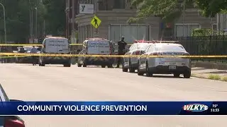 Louisville Metro Council members to host community discussion on violence prevention