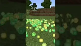 Level in Minecraft 🙂 #shorts #UnitedStates #recommendations