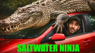 This Animal Is Bigger Than You Think