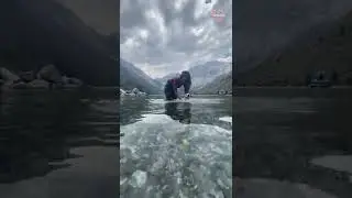 Cute dog swims and paddles like a pro || PETASTIC 🐾