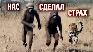 Страх сделал нас людьми. А ИИ сделан статистикой !