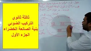 بنية الصانعة الخضراء (الجزء الأول)