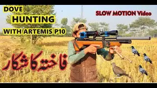 Dove Hunting with Airgun | Fakhta ka Shikar | Best Dove Hunting With Artemis P10 PCP | 2020 memories