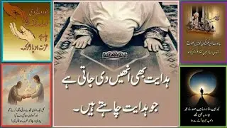 Best Urdu Quotes for Life Lessons and Motivation💯💫|Aqwaalezareen in Urdu and Hindi |Motivation 