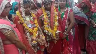 Adivasi lagan surkeda chhotaudepur