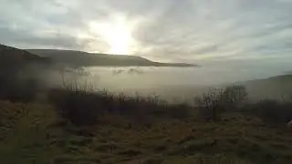 Pheasant shooting 2026