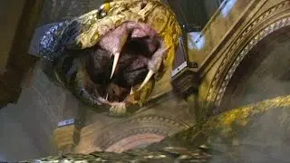 Giant Snake attacks and save Arthur || King Arthur