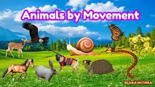 Animals by Movement | Walk, Fly, Swim, Crawl ,Jump | Kids Learning Video