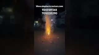 Oreo crackers🍪from Elephant crackers🔥 #diwali2024 #sivakasicrackers2024 #tamil #crackerssivakasi