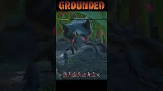 Grounded: You Can Fit So Many Ox Beetles in This.