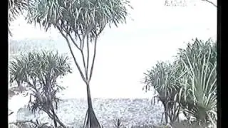 Streaming Langsung streaming radartv