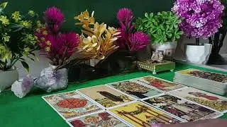 Patner ki current feeling.#tarotreadinginhindi#collective timeless.