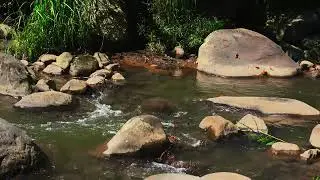 Clear Mind: Flowing Water Sounds to Improve Memory & Focus