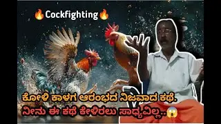ಕೋಳಿ ಕಾಳಗದ ಇತಿಹಾಸ. ಕೇಳಿದರೆ ಇಷ್ಟೆಲ್ಲ ಇದೆಯಾ ಅಂತೀರಾ. | 'Korida Katta' (Cock Fight) │selvaraj | kannada