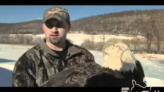 Dead Eagle