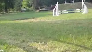 jumping at iveagh pony club derby