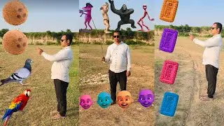 Rounding coconut to Duck, Peacock, Pigeon& Parrot - Birds names magic video