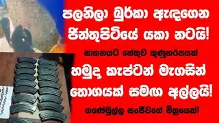 පලනිලා බුර්කා ඇඳගෙන ජින්තුපිටියේ යකා නටයි!හේතුව කුණුහරපයක්! සංජීවගේ මිත්‍ර කැප්ටන් මැගසින් සමඟ කොටු!